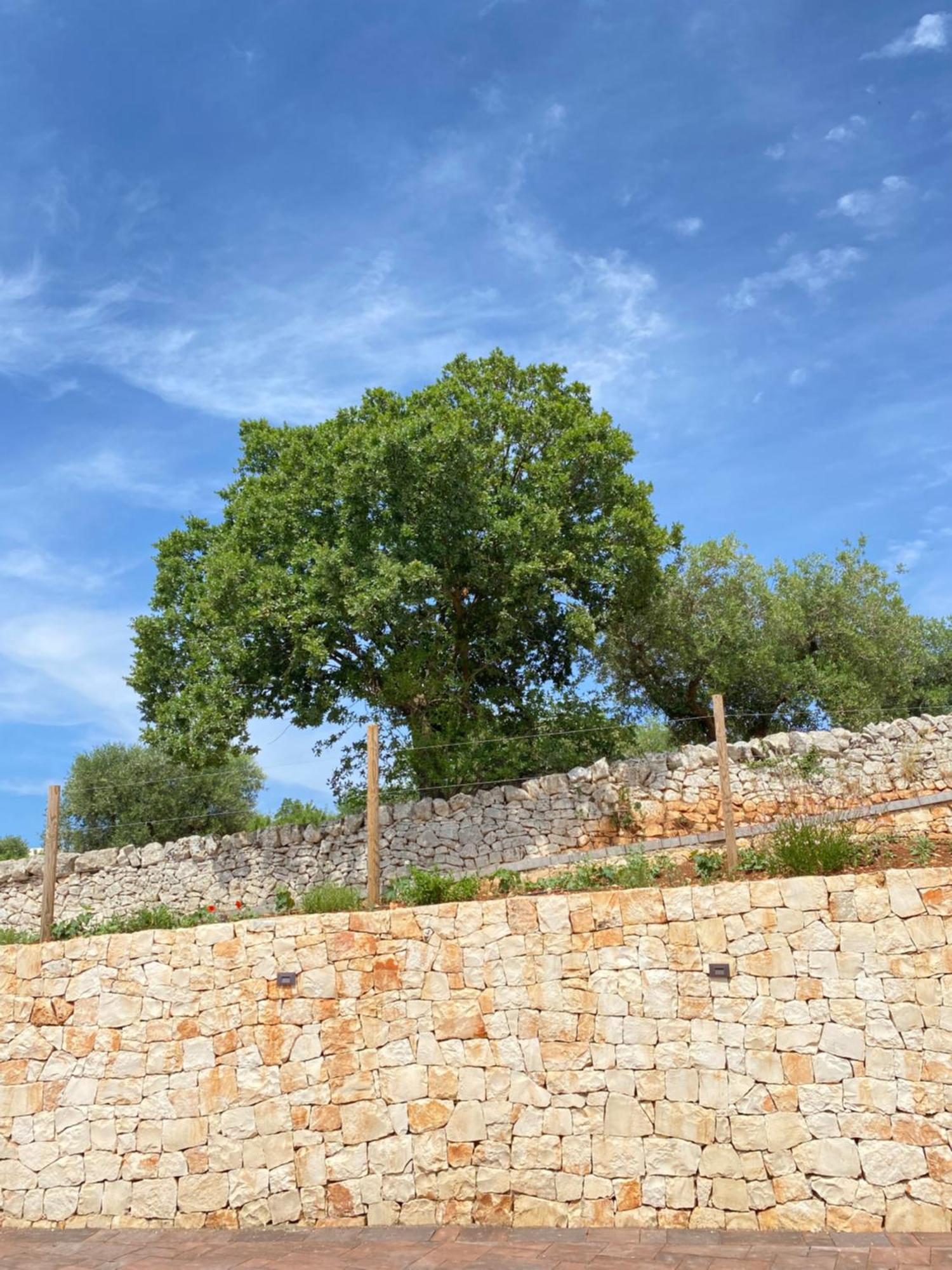 Trulli Mbs By Apulia Hospitality Apartment Locorotondo Luaran gambar