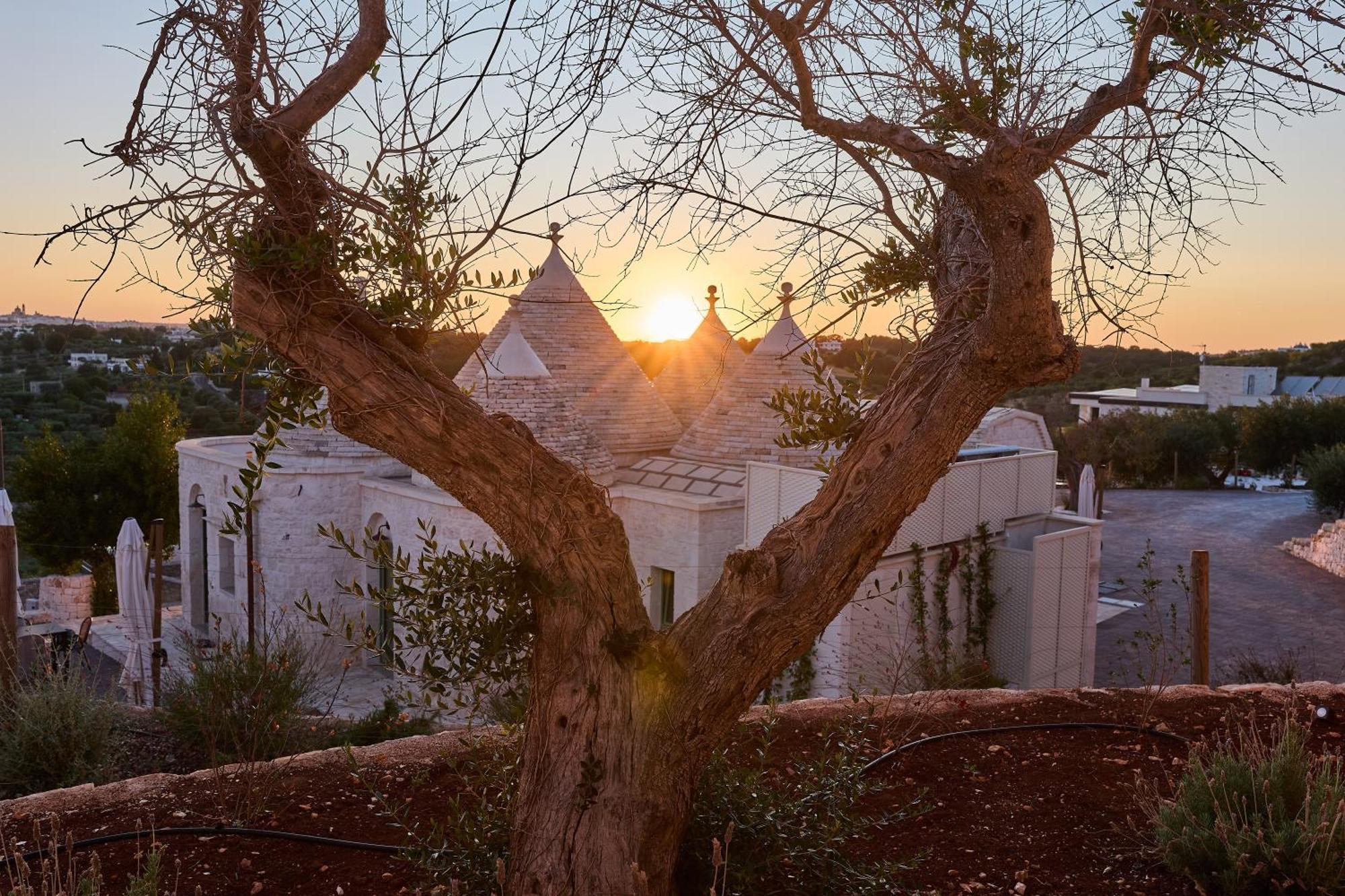 Trulli Mbs By Apulia Hospitality Apartment Locorotondo Luaran gambar